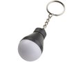 Aquila LED key light 13