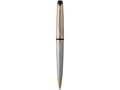 Waterman Expert 17