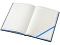 Travers notebook 6