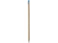 Cay pencil 5