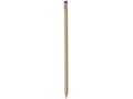 Cay pencil 4