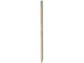 Cay pencil 3
