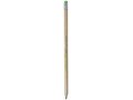 Cay pencil 7