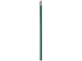 Alegra pencil with coloured barrel 11