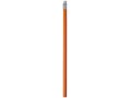 Alegra pencil with coloured barrel 20