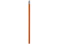 Alegra pencil with coloured barrel 20