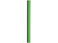 Par Coloured Barrel Pencil 4