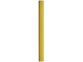 Par Coloured Barrel Pencil 16