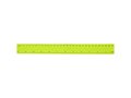 Ruly ruler 30 cm 11