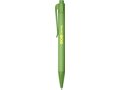 Terra corn plastic ballpoint pen 17