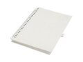 Dairy Dream A5 size reference spiral notebook