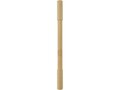 Samambu bamboo duo pen