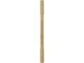 Samambu bamboo duo pen 1