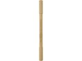 Samambu bamboo duo pen 1