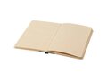 Liliana A5 sugar cane plastic hard cover notebook 17