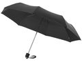 21,5'' 3-Section Umbrella 7