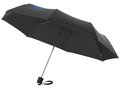 21,5'' 3-Section Umbrella 6