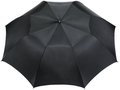 30'' Argon 2-section automatic umbrella 1