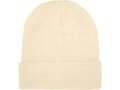Irwin knitted hat 8