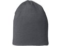 Level Beanie 13