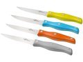 Tint steak knife set