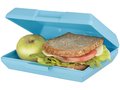 Oblong lunch box 1