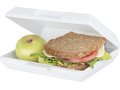 Oblong lunch box 16