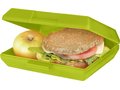 Oblong lunch box 18