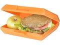 Oblong lunch box 8