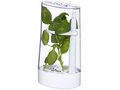 Versil herb preserver 1