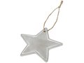 Seasonal star ornament 1