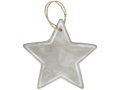 Seasonal star ornament 3