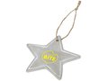 Seasonal star ornament 2