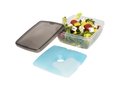 Glace lunch box with ice pad
