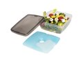 Glace lunch box with ice pad