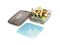 Glace lunch box with ice pad 1