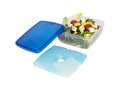 Glace lunch box with ice pad