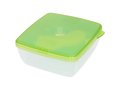 Glace lunch box with ice pad 13