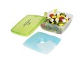 Glace lunch box with ice pad 9
