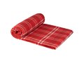 Scot checkered plaid blanket 6