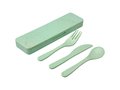 Bamberg bamboo fiber cutlery set 1