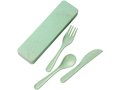 Bamberg bamboo fiber cutlery set 5