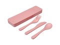 Bamberg bamboo fiber cutlery set 12