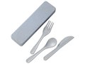 Bamberg bamboo fiber cutlery set 22