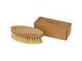 Cleo oval scrubbing brush 4