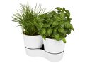 Herbs twin kitchen pot