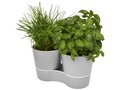 Herbs twin kitchen pot 6