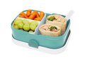 Campus lunch box 10