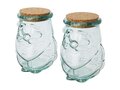 Airoel 2-piece recycled glass container set