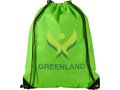 Evergreen non woven premium rucksack 17